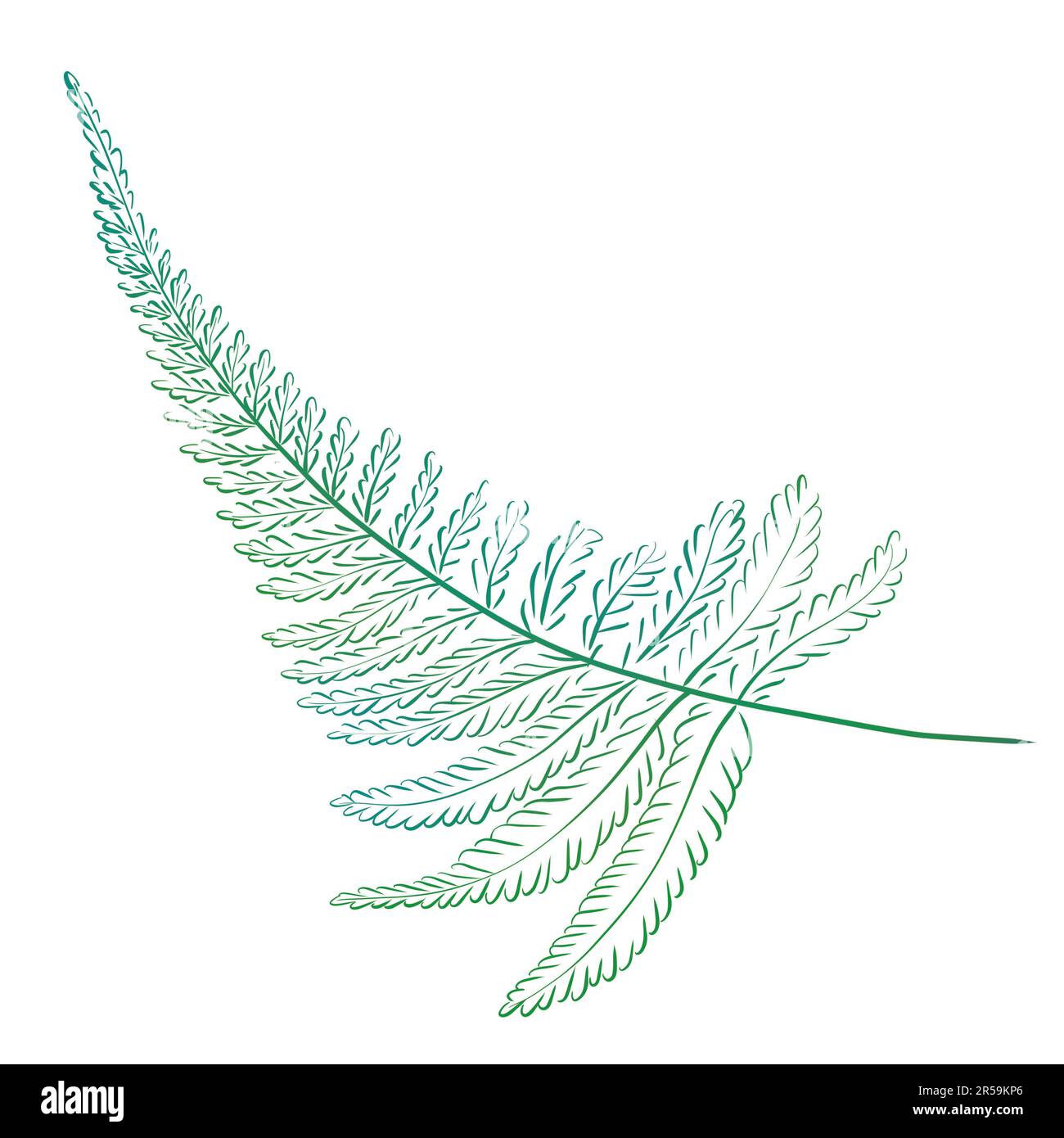Acquerello ramo di felce, foglie tropicali, design di lusso. botanica della foresta. Foto Stock Acquerello ramo di felce, foglie tropicali, design di lusso. botanica della foresta. Foto Stock