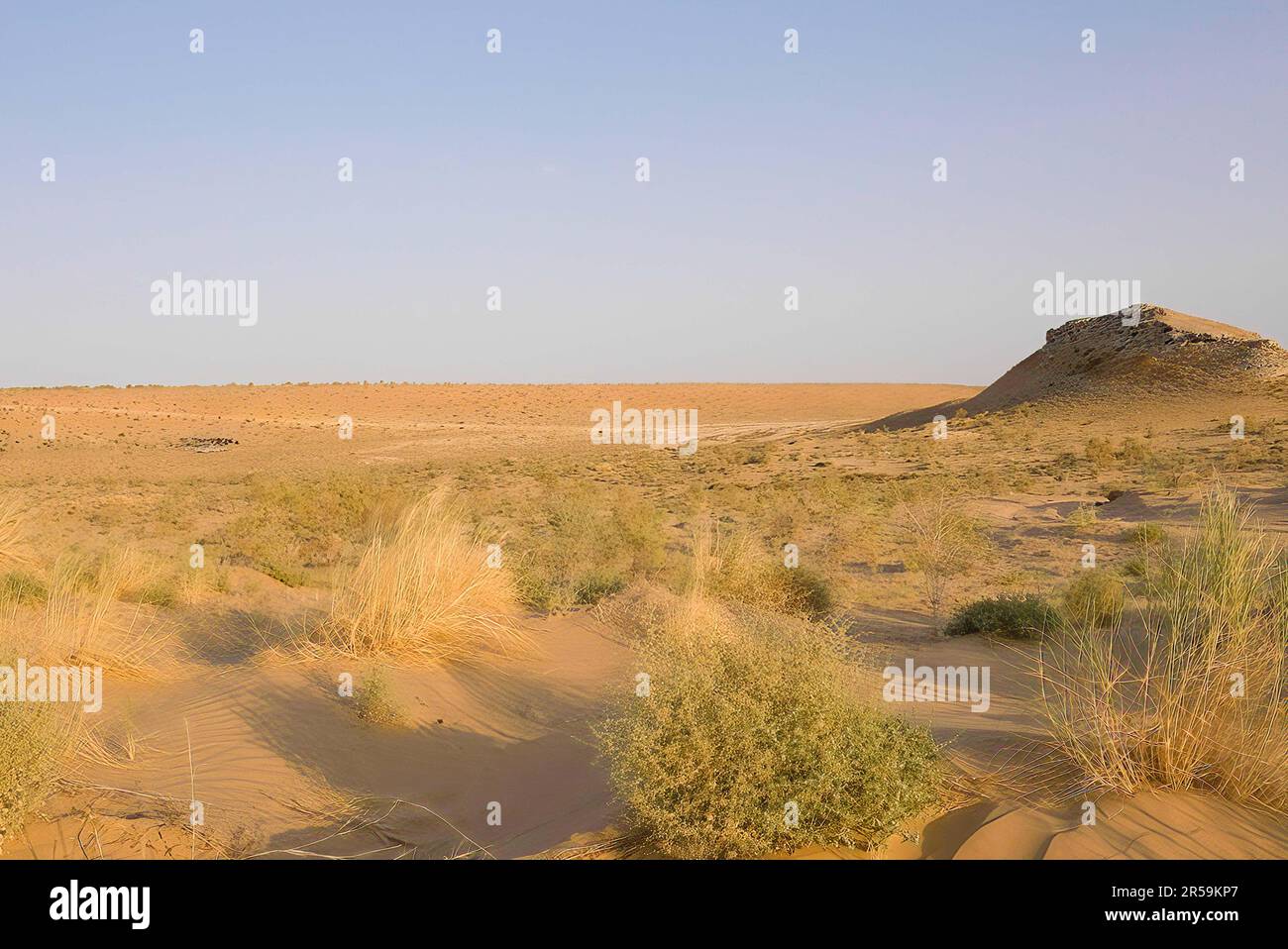 Nel deserto del Karakum Foto Stock