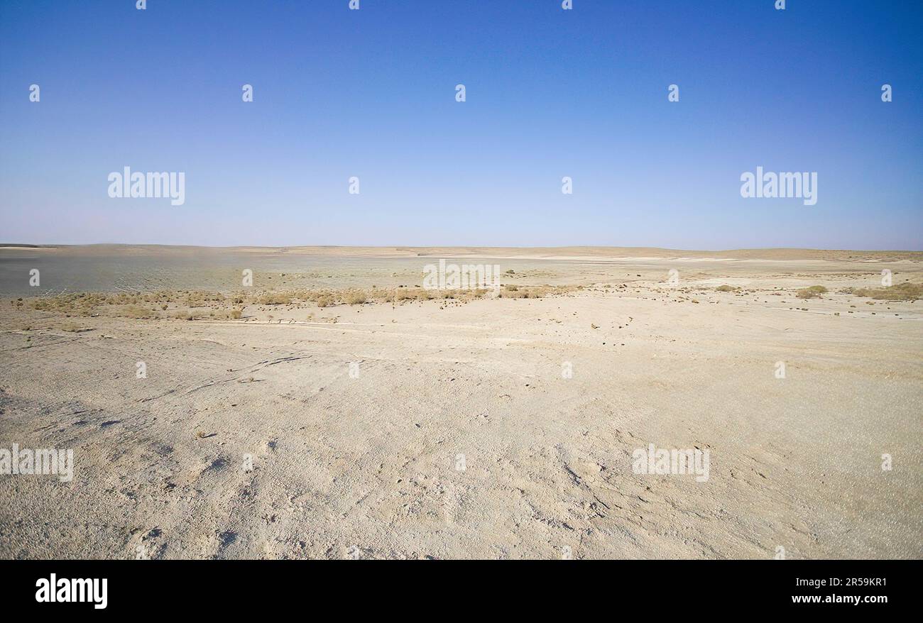 Nel deserto del Karakum Foto Stock