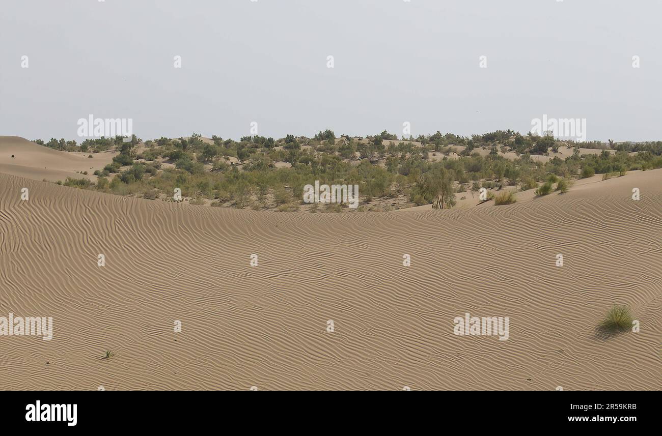 Nel deserto del Karakum Foto Stock