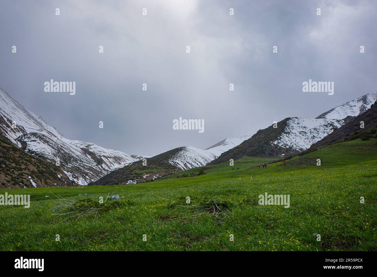 Bellissimo paesaggio foresta con rocce, abeti e cielo blu nelle montagne del Kirghizistan. Pacifica scena all'aperto. Foto Stock