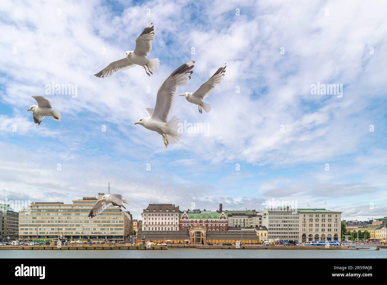 Un gruppo di gabbiani sul cielo blu del centro di Helsinki, Finlandia Foto Stock