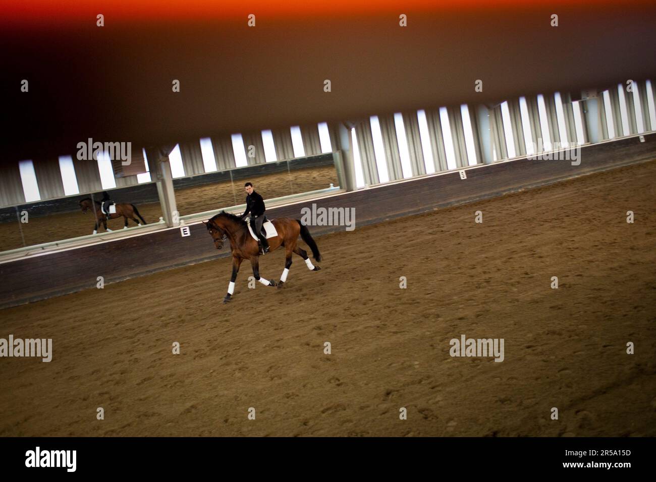 Un cavaliere di dressage allena uno stallone a Temple Farms, Wadsworth, Illinois. Foto Stock