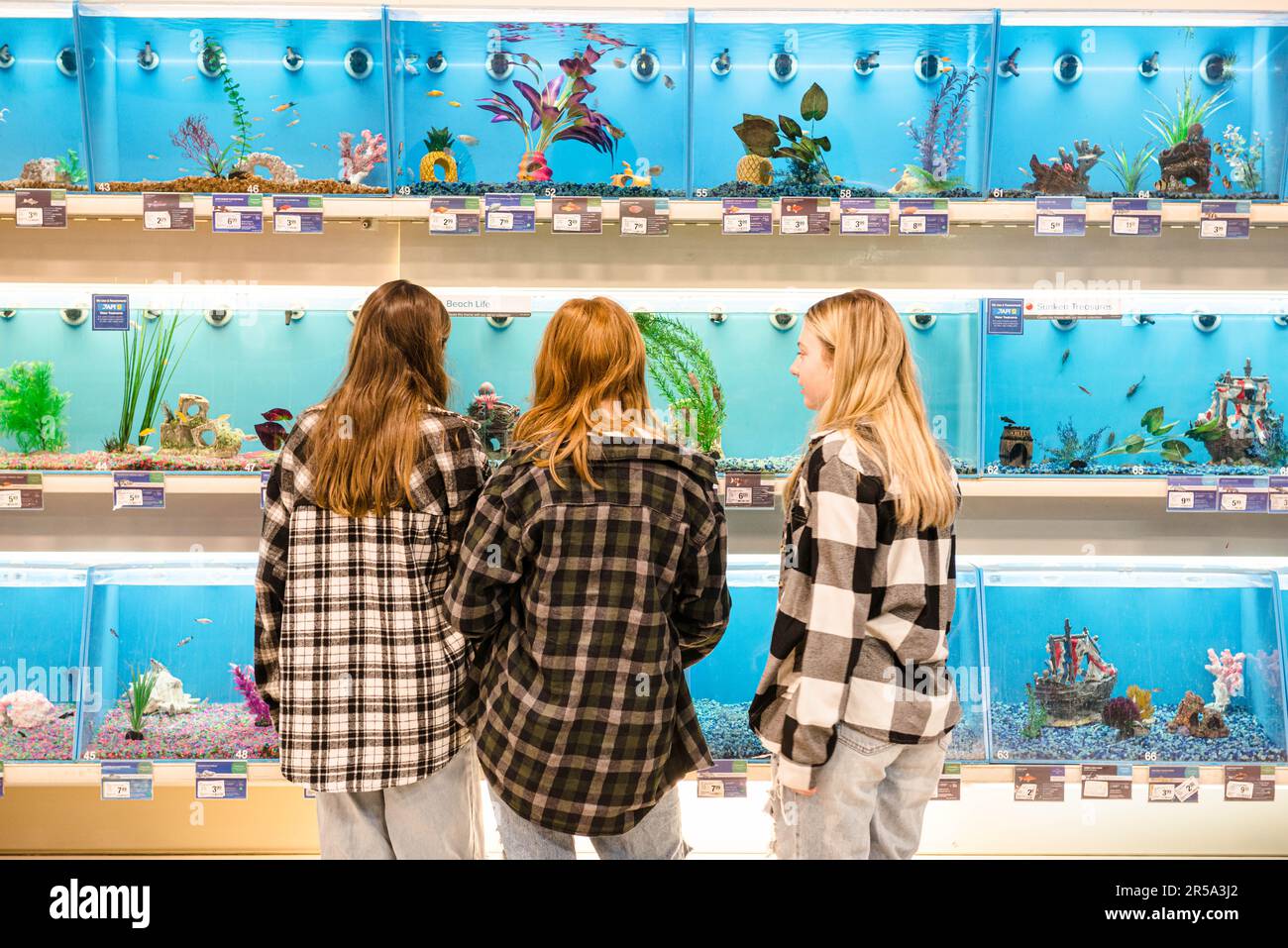 Tre ragazze teen che guardano il pesce in un deposito dell'animale domestico. Foto Stock