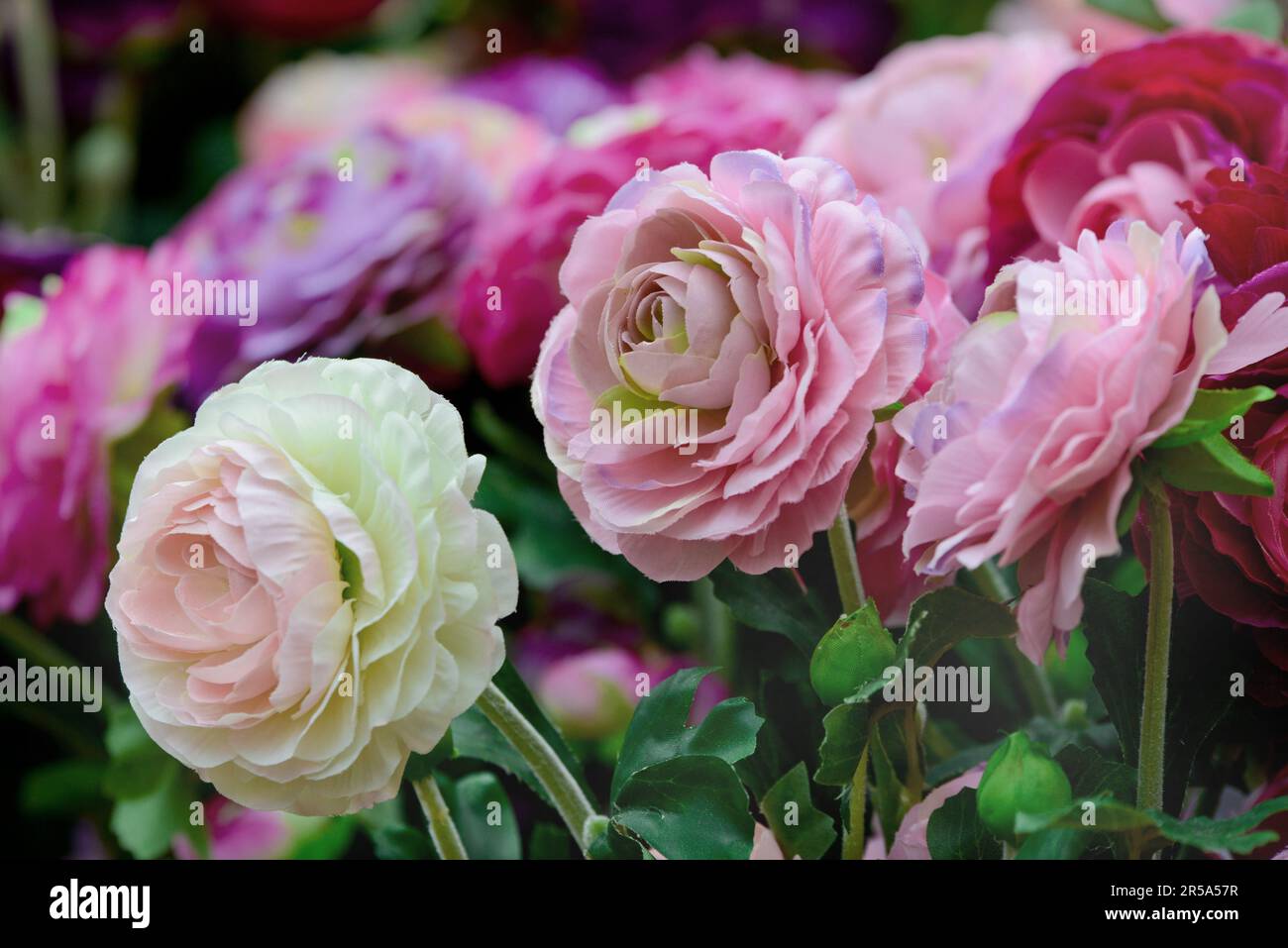 fiori di seta rosa Foto Stock