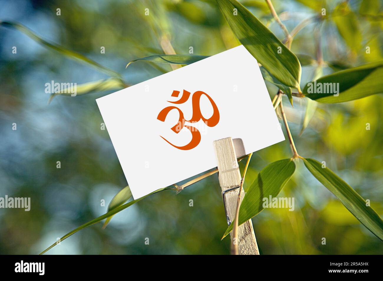 foglio ad un simbolo di om di scrittura di bambù Foto Stock