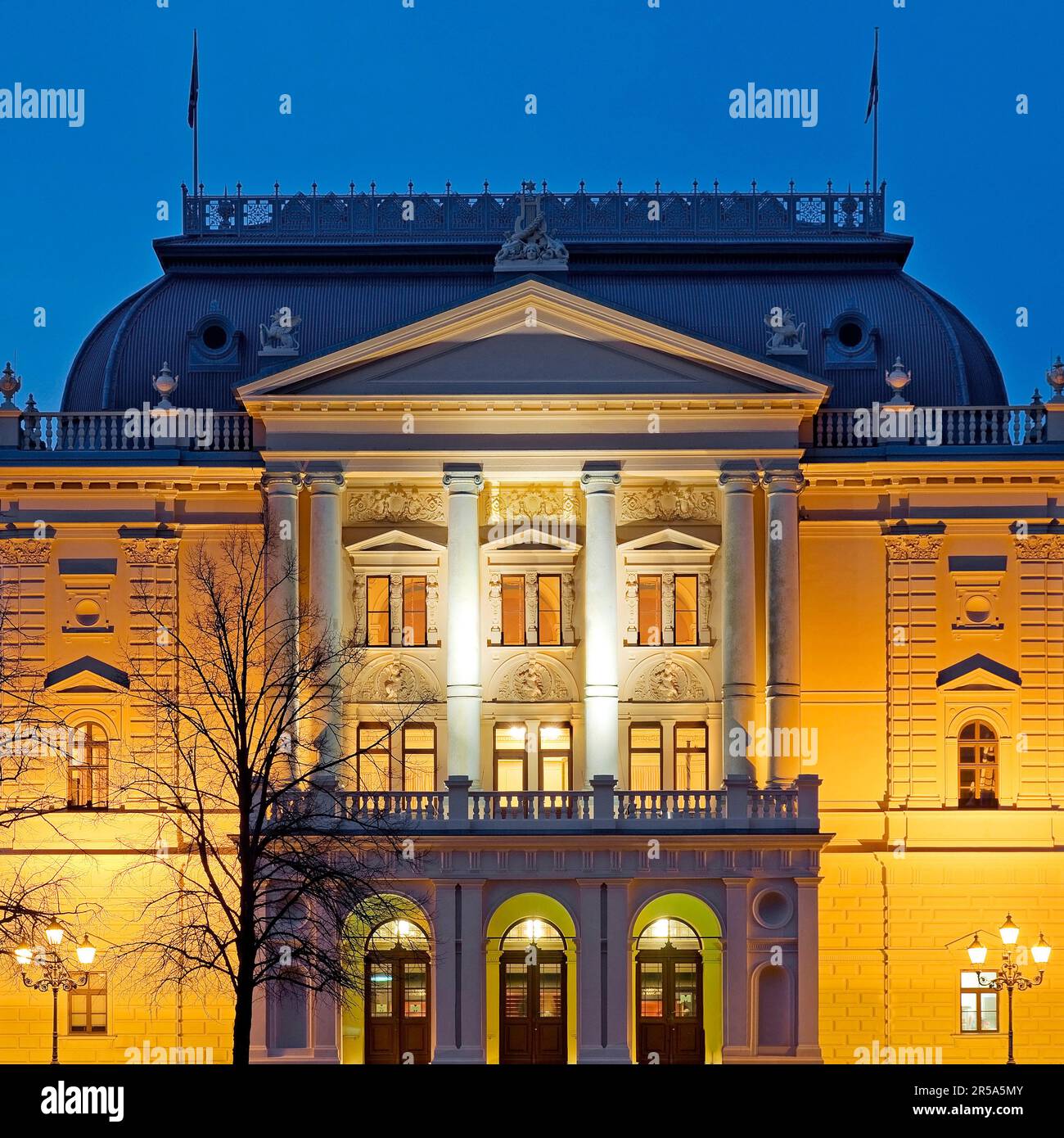 Teatro Statale del Meclemburgo-Pomerania occidentale illuminato in serata, Big House, Germania, Meclemburgo-Pomerania occidentale, Schwerin Foto Stock