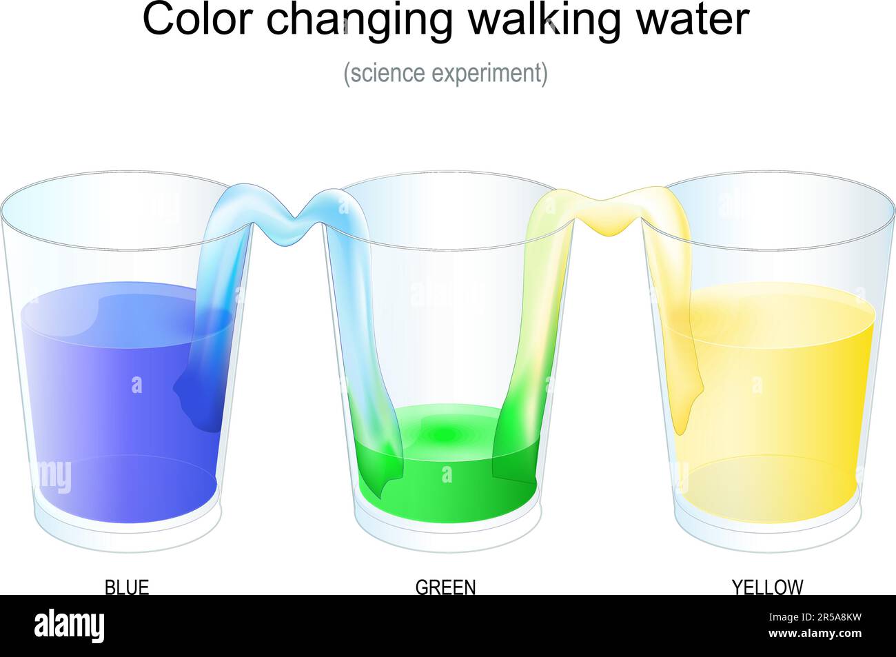 Acqua a piedi che cambia colore. Esperimento scientifico con tre bicchieri. Poster vettoriale. magia e scienza per i bambini. Illustrazione Vettoriale