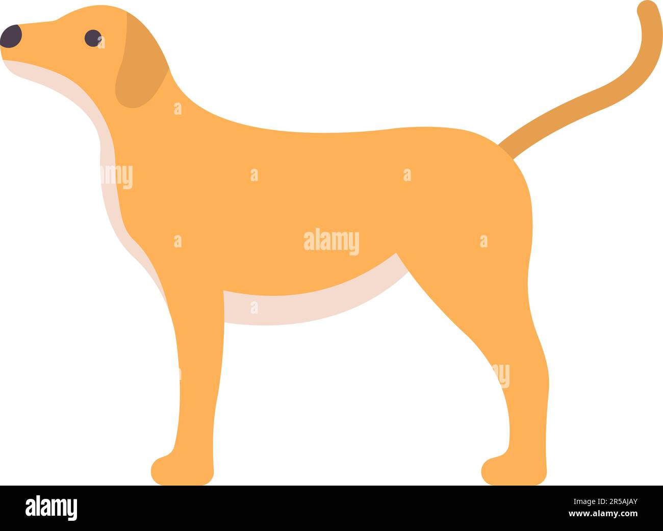 Immagine vettoriale icona PET. Illustrazione Vettoriale