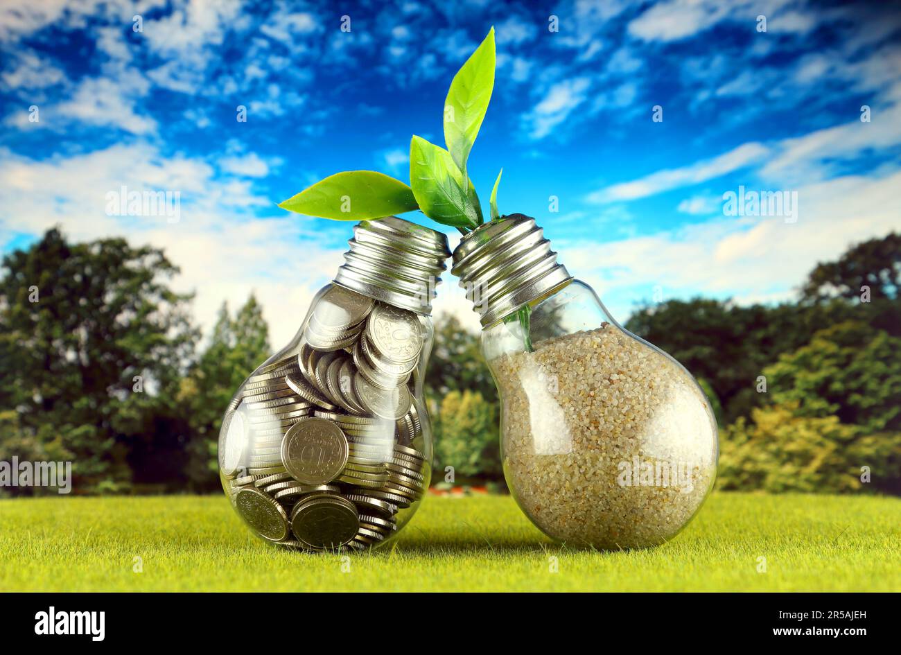 Monete all'interno del bulbo luminoso sull'erba e pianta che cresce all'interno del bulbo luminoso con sfondo blu cielo. Eco-verde energia rinnovabile concetto. Elettri Foto Stock