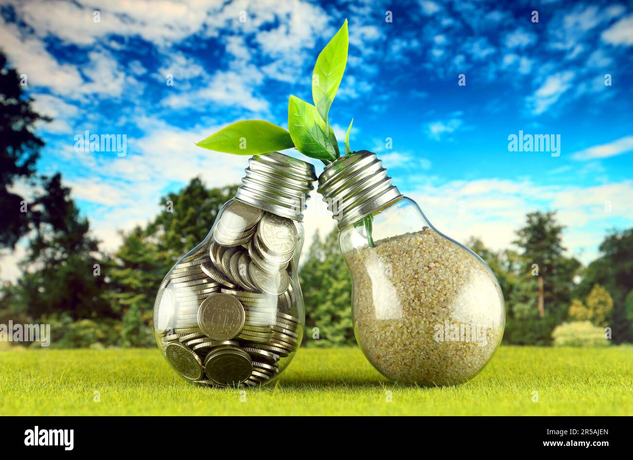 Monete all'interno del bulbo luminoso sull'erba e pianta che cresce all'interno del bulbo luminoso con sfondo blu cielo. Eco-verde energia rinnovabile concetto. Elettri Foto Stock