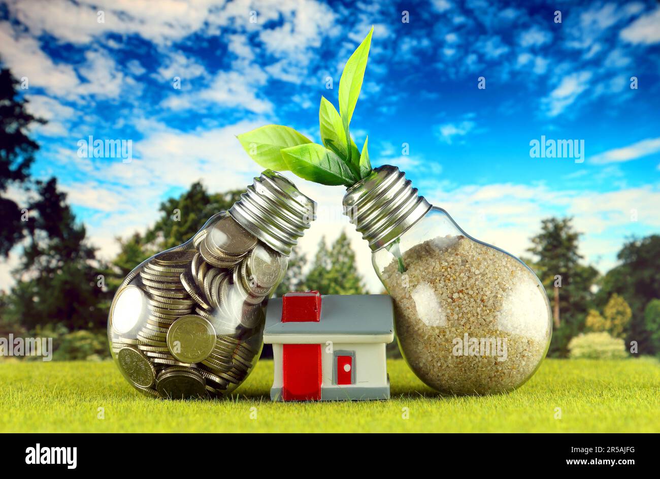 Monete all'interno della lampadina, pianta che cresce all'interno della lampadina e casa in miniatura. Eco-verde energia rinnovabile concetto. Prezzi dell'elettricità, energia s Foto Stock