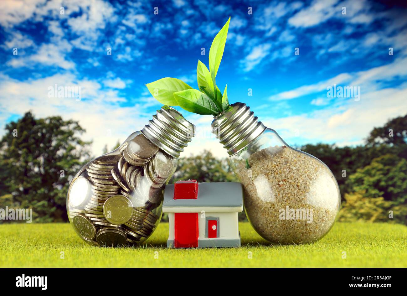 Monete all'interno della lampadina, pianta che cresce all'interno della lampadina e casa in miniatura. Eco-verde energia rinnovabile concetto. Prezzi dell'elettricità, energia s Foto Stock