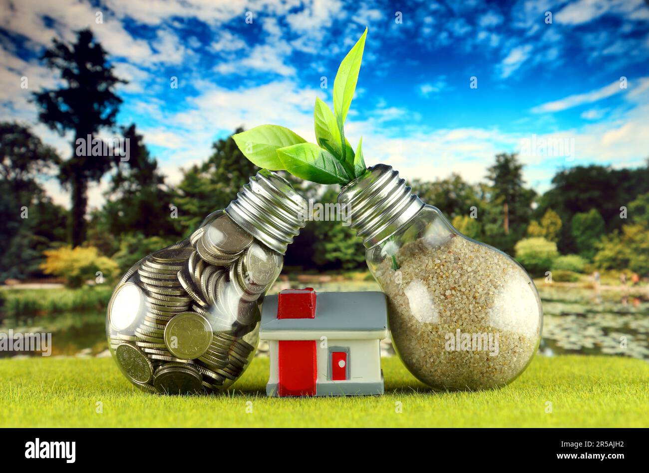 Monete all'interno della lampadina, pianta che cresce all'interno della lampadina e casa in miniatura. Eco-verde energia rinnovabile concetto. Prezzi dell'elettricità, energia s Foto Stock