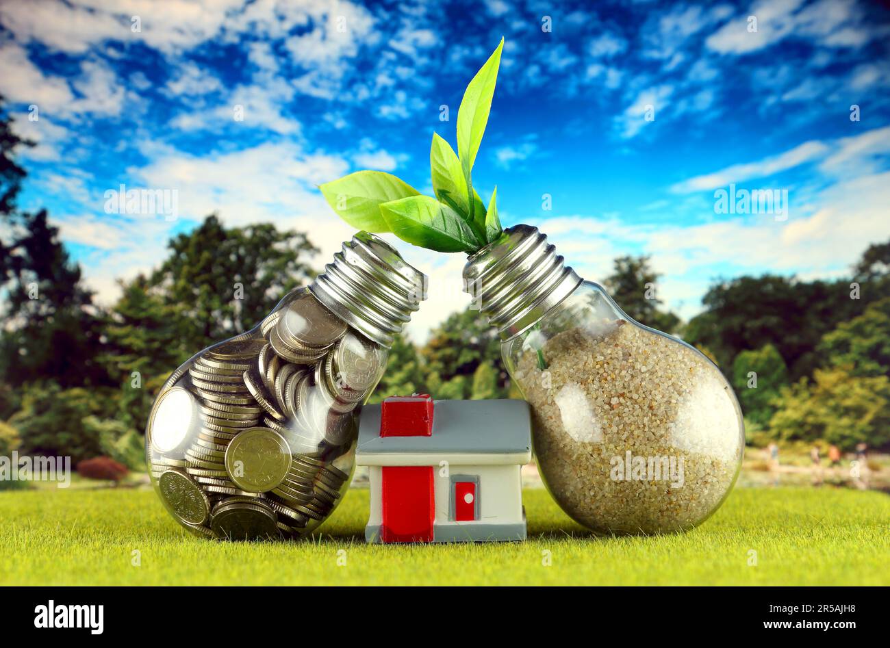 Monete all'interno della lampadina, pianta che cresce all'interno della lampadina e casa in miniatura. Eco-verde energia rinnovabile concetto. Prezzi dell'elettricità, energia s Foto Stock