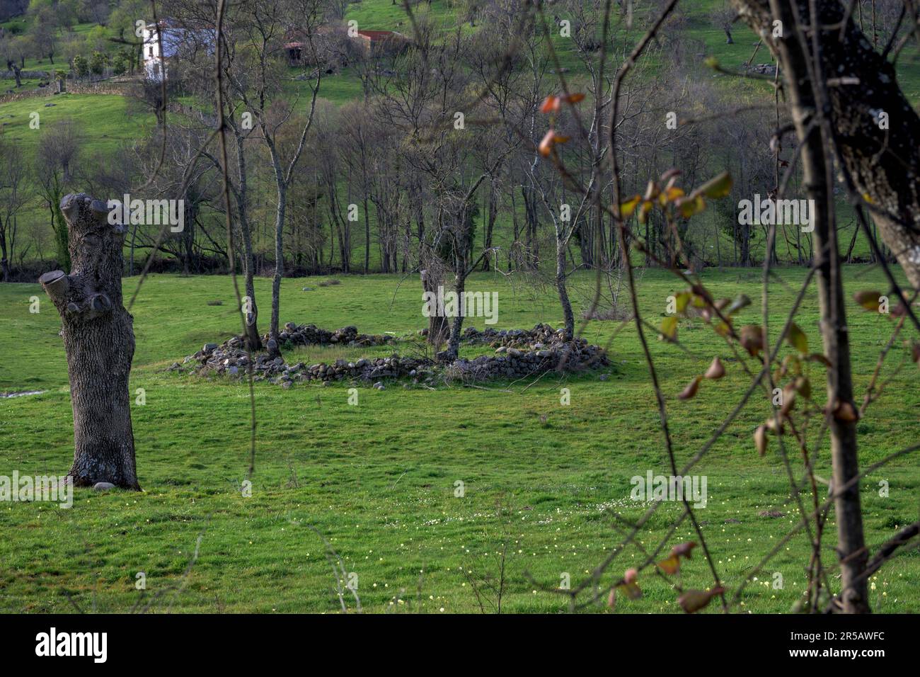 misterioso cerchio di muro di pietra nel mezzo del campo verde orizzontalmente Foto Stock
