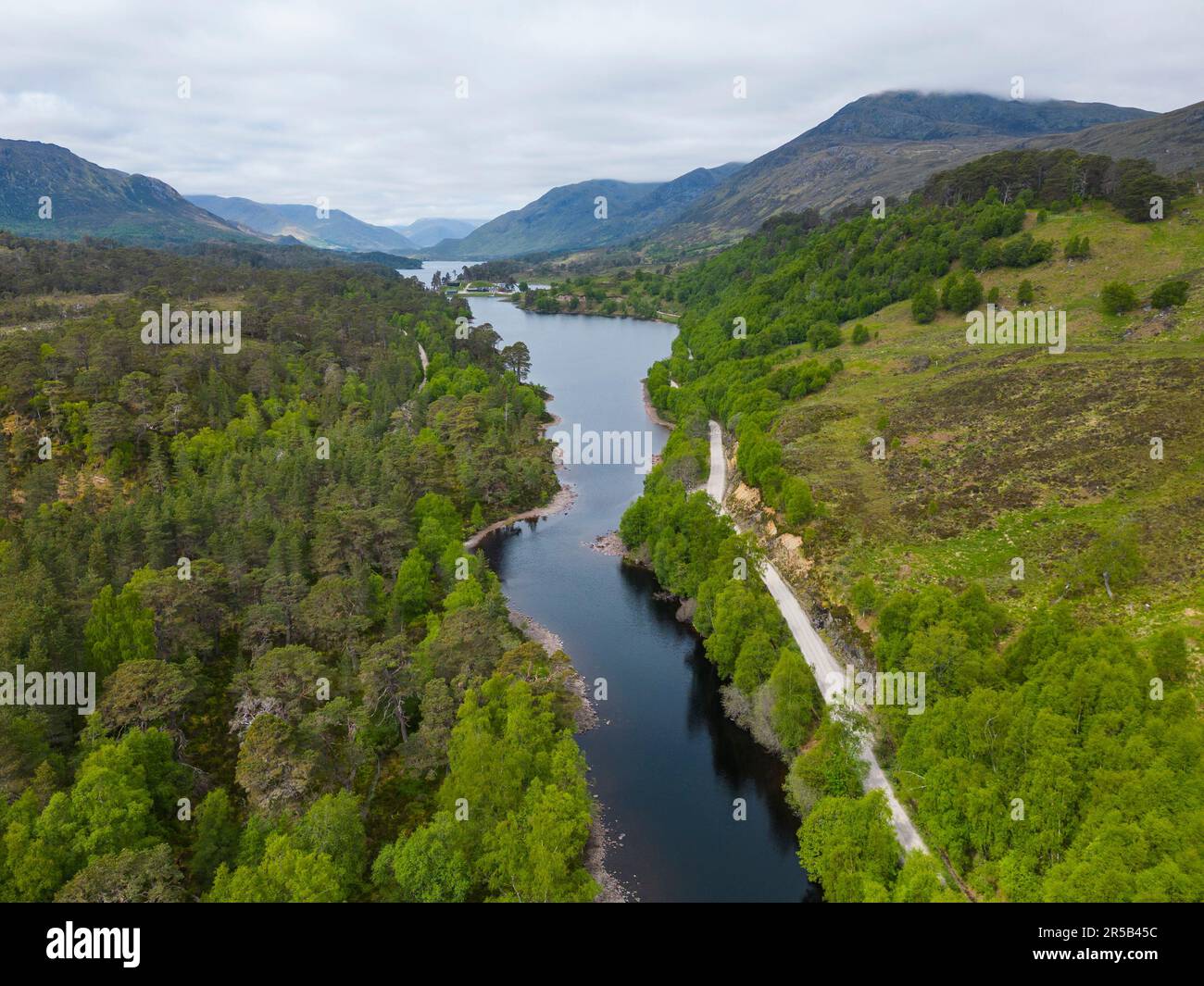 Veduta aerea lungo Glen Affric verso Loch Garbh Uisge e Loch Affric Highlands scozzesi, Scozia, Regno Unito Foto Stock