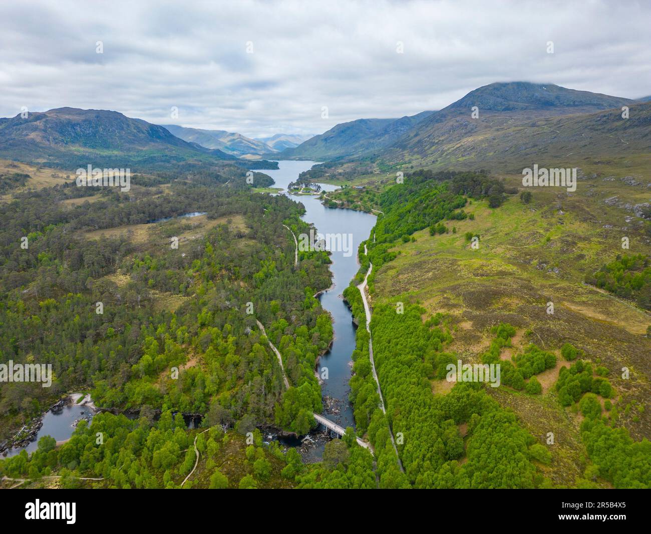 Veduta aerea lungo Glen Affric verso Loch Garbh Uisge e Loch Affric Highlands scozzesi, Scozia, Regno Unito Foto Stock