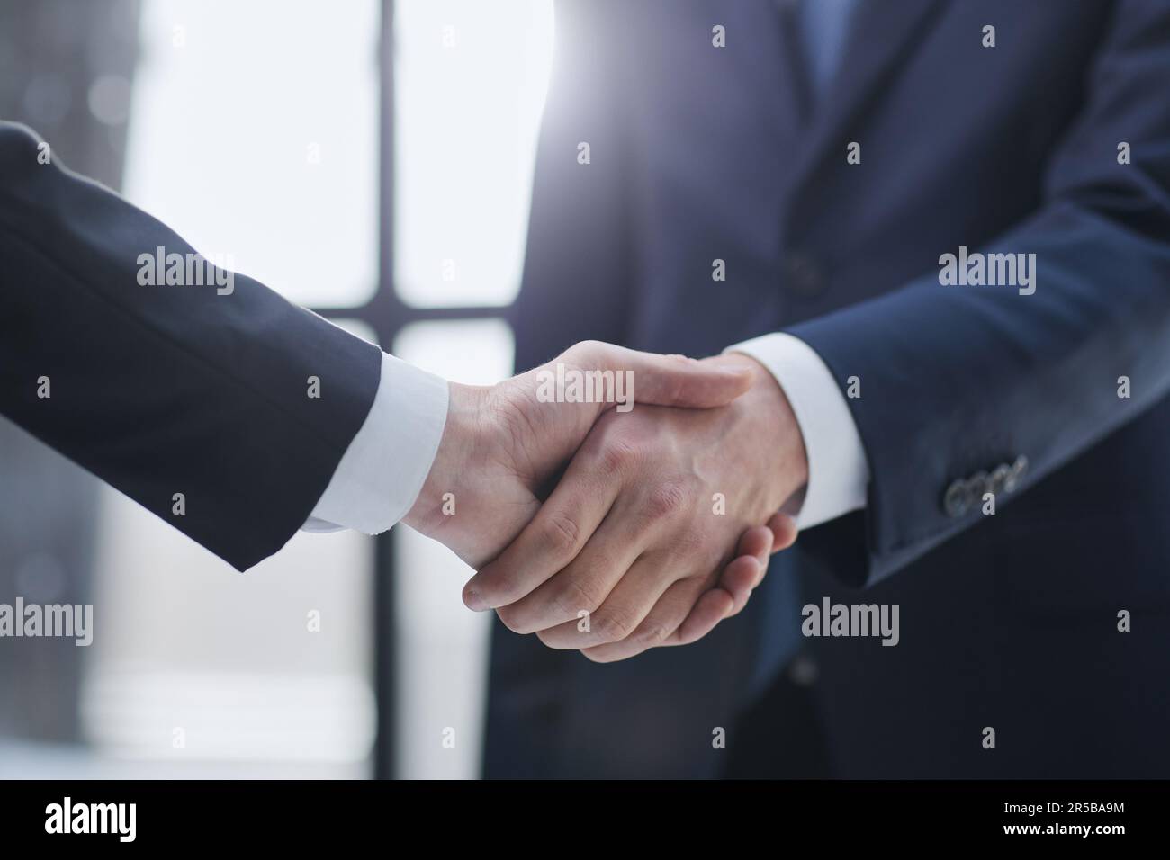 Uomini d'affari che scuotono le mani in piedi davanti alle finestre dell'ufficio Foto Stock