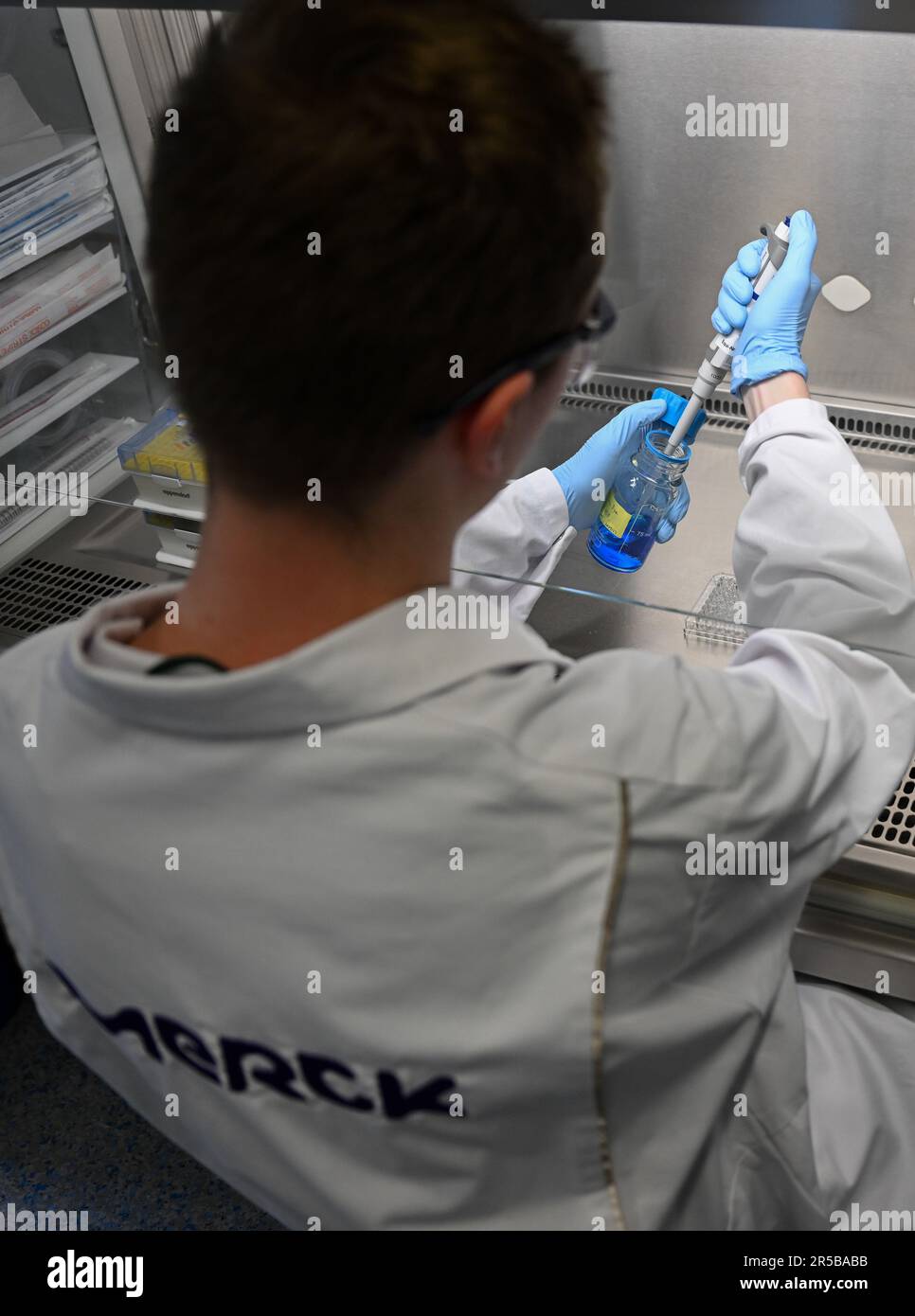 PRODUZIONE - 23 maggio 2023, Hesse, Darmstadt: Tecnico di laboratorio di biologia Christian Deuker lavora in una cappa di sicurezza in un laboratorio del gruppo farmaceutico e tecnologico Merck KGaA, con sede a Darmstadt. Il Early Formulation Screening Service nel settore delle scienze biologiche di Merck fornisce ai produttori di vaccini e prodotti terapeutici nanoparticelle lipidiche personalizzate per applicazioni efficaci di mRNA. Foto: Arne Dedert/dpa Foto Stock