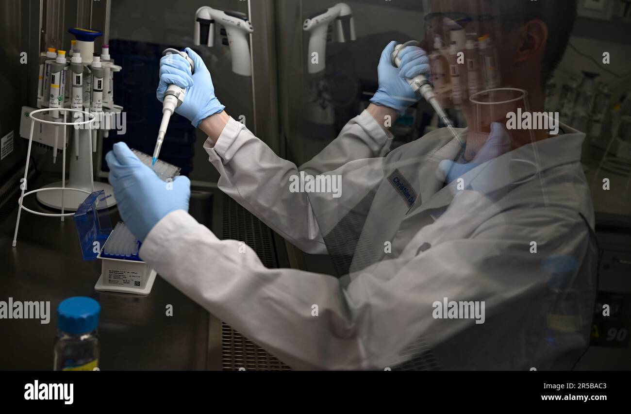 PRODUZIONE - 23 maggio 2023, Hesse, Darmstadt: Tecnico di laboratorio di biologia Christian Deuker lavora in una cappa di sicurezza in un laboratorio del gruppo farmaceutico e tecnologico Merck KGaA, con sede a Darmstadt. Il Early Formulation Screening Service nel settore delle scienze biologiche di Merck fornisce ai produttori di vaccini e prodotti terapeutici nanoparticelle lipidiche personalizzate per applicazioni efficaci di mRNA. Foto: Arne Dedert/dpa Foto Stock