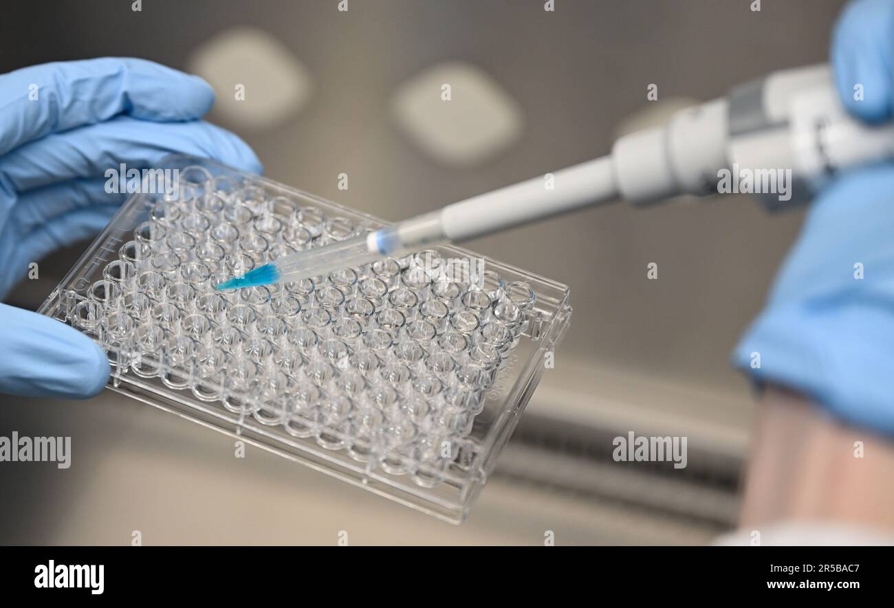 PRODUZIONE - 23 maggio 2023, Hesse, Darmstadt: Tecnico di laboratorio di biologia Christian Deuker lavora in una cappa di sicurezza in un laboratorio del gruppo farmaceutico e tecnologico Merck KGaA, con sede a Darmstadt. Il Early Formulation Screening Service nel settore delle scienze biologiche di Merck fornisce ai produttori di vaccini e prodotti terapeutici nanoparticelle lipidiche personalizzate per applicazioni efficaci di mRNA. Foto: Arne Dedert/dpa Foto Stock