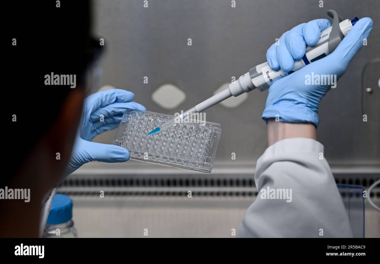PRODUZIONE - 23 maggio 2023, Hesse, Darmstadt: Tecnico di laboratorio di biologia Christian Deuker lavora in una cappa di sicurezza in un laboratorio del gruppo farmaceutico e tecnologico Merck KGaA, con sede a Darmstadt. Il Early Formulation Screening Service nel settore delle scienze biologiche di Merck fornisce ai produttori di vaccini e prodotti terapeutici nanoparticelle lipidiche personalizzate per applicazioni efficaci di mRNA. Foto: Arne Dedert/dpa Foto Stock