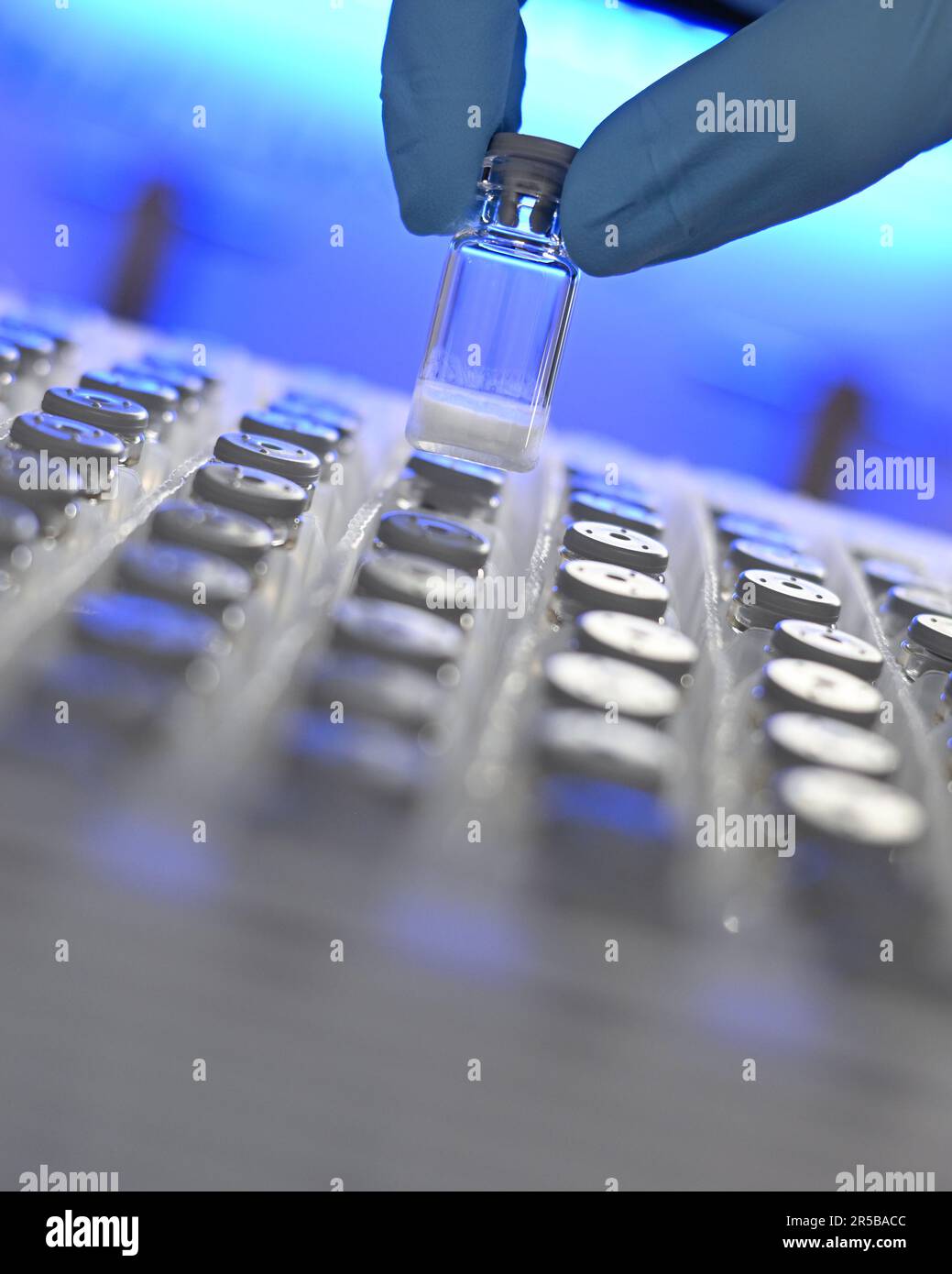 PRODUZIONE - 23 maggio 2023, Hesse, Darmstadt: Il tecnico di laboratorio di biologia Julia Volk rimuove un campione liofilizzato da un contenitore in un laboratorio del gruppo farmaceutico e tecnologico Merck KGaA, con sede a Darmstadt. Il Early Formulation Screening Service nel settore delle scienze biologiche di Merck fornisce ai produttori di vaccini e prodotti terapeutici nanoparticelle lipidiche personalizzate per applicazioni efficaci di mRNA. Foto: Arne Dedert/dpa Foto Stock