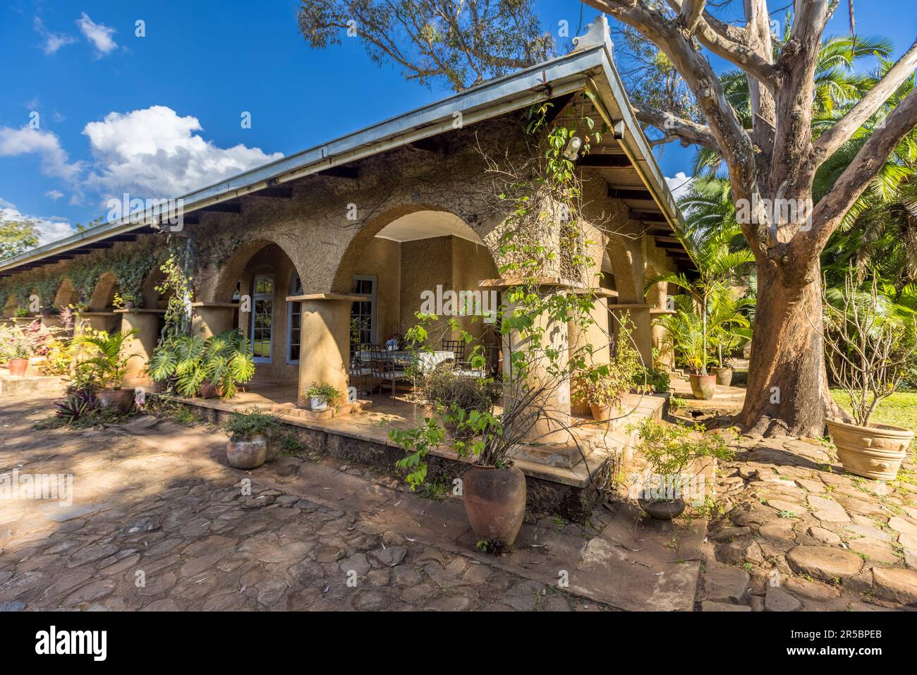 Huntingdon House e Satemwa Estate sono gestite dalla quarta generazione della famiglia Kay. Qui si trova la residenza con i portici circostanti e gli alberi secolari. Secondo gli standard africani, 100 anni di storia sono rari da trovare. Huntingdon House vicino a Thyolo (Malawi) dispone di sole 5 camere arredate in stile coloniale. L'hotel è l'ex casa della famiglia che possiede ancora la piantagione di tè e caffè Satemwa Foto Stock