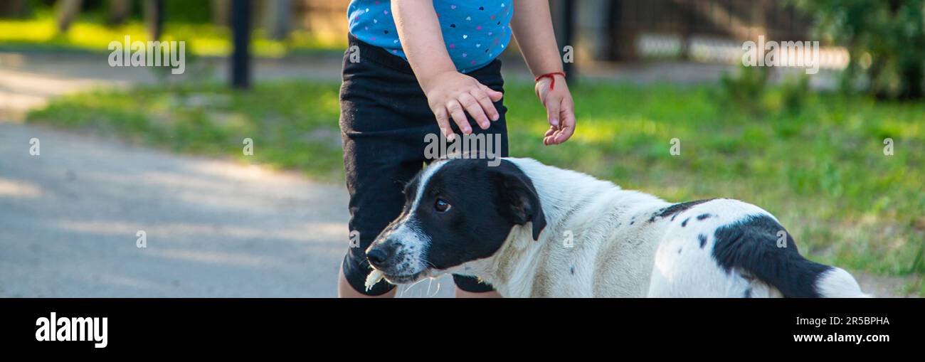 Un bambino gioca con un piccolo cane nel parco. Messa a fuoco selettiva. Natura. Foto Stock