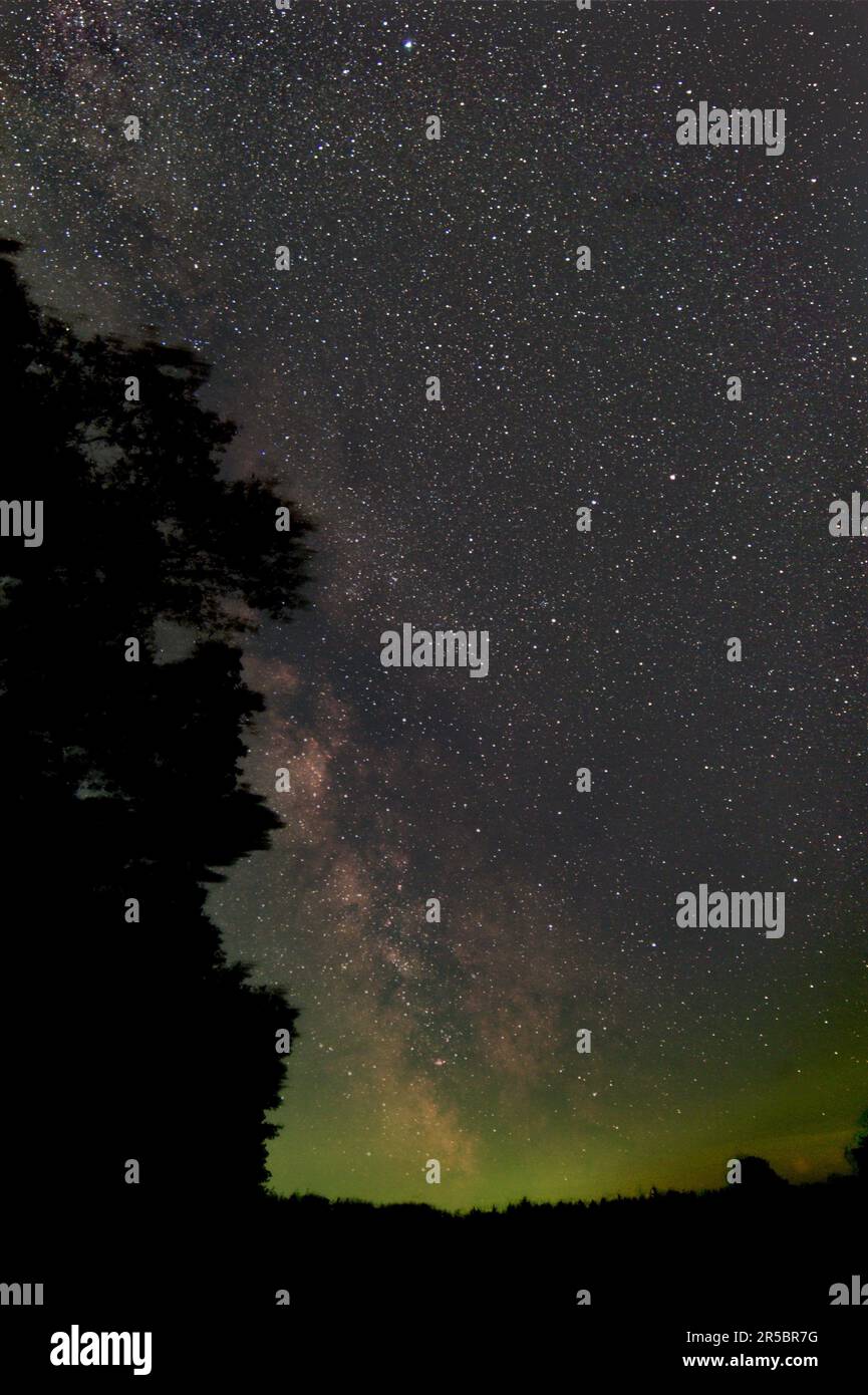 Milkyway con la silhouette nera di alcuni alberi e un po' di verde vicino all'orizzonte. Preso dall'emisfero settentrionale (Germania). Foto Stock