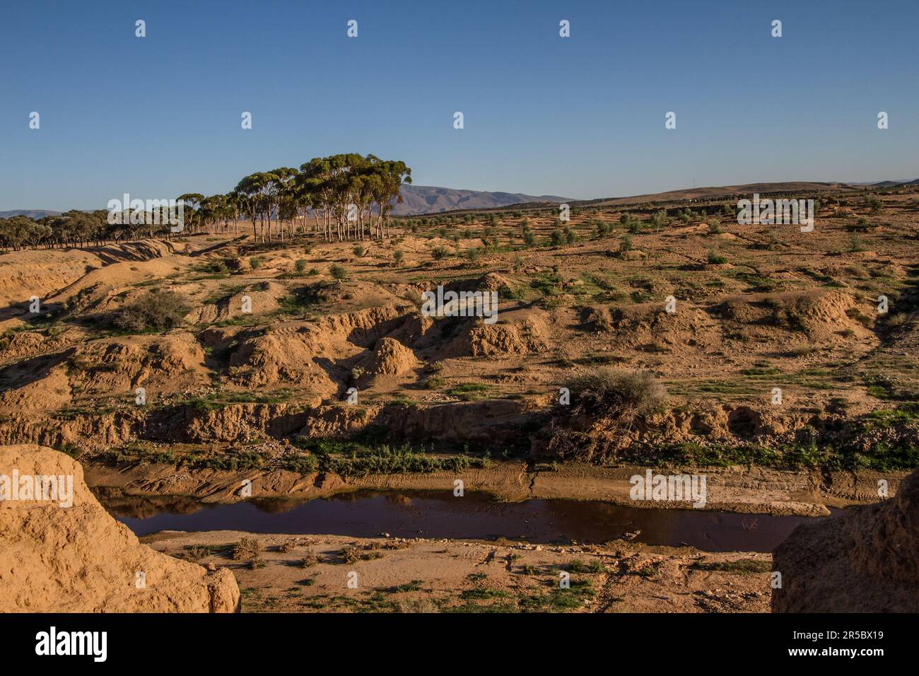 Trattamento delle acque marocchine: Fiume artificiale nella città di Taourirt Foto Stock