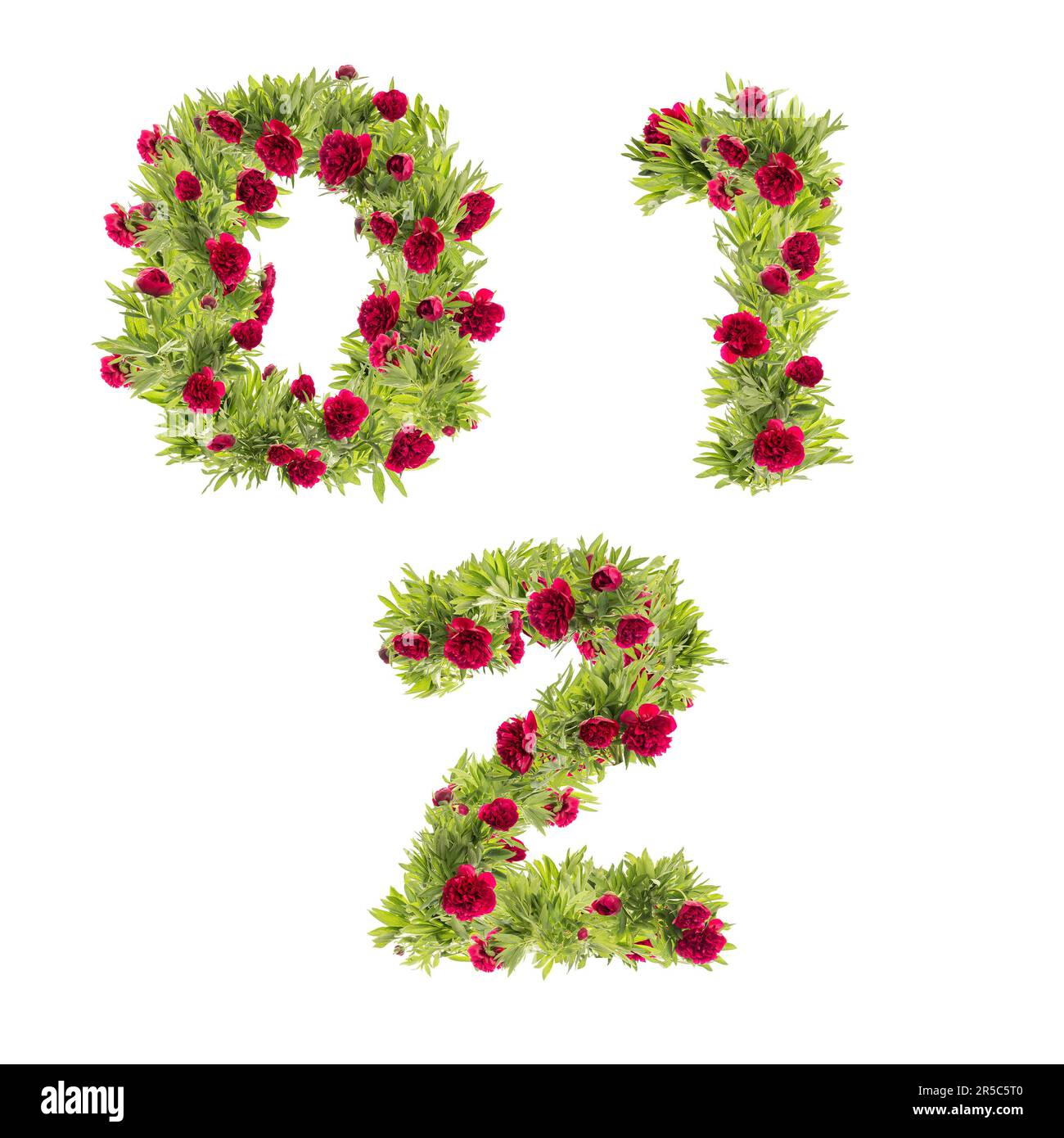 3D illustrazione dell'alfabeto maiuscolo dei fiori di pony - cifre 0-2 Foto Stock