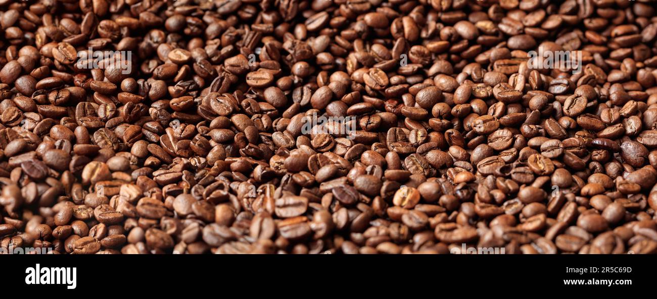 Primo piano dei chicchi di caffè, banner di fondo caffè Foto Stock