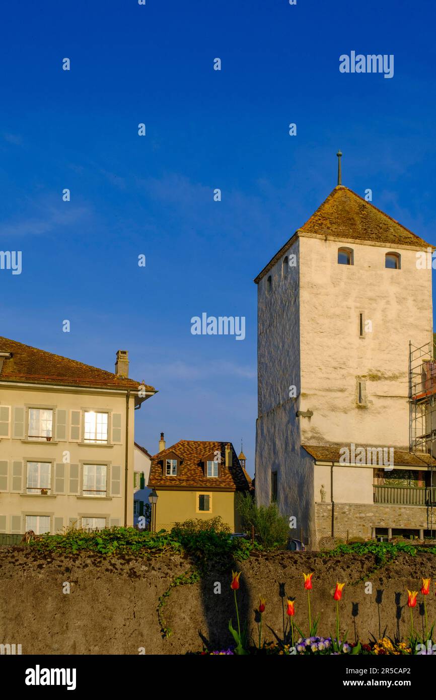 Chateau de Saint-Prex, Città Vecchia, Saint-Prex sul Lago di Ginevra nel cantone di Vaud, Svizzera Foto Stock