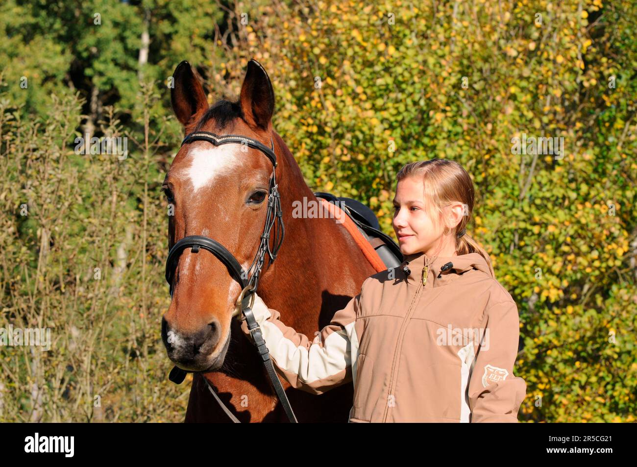 Ragazza e cavallo vecchio, Trakehner, gelding, 32 anni, sangue di warmblood tedesco, equitazione cavallo, bridle Foto Stock
