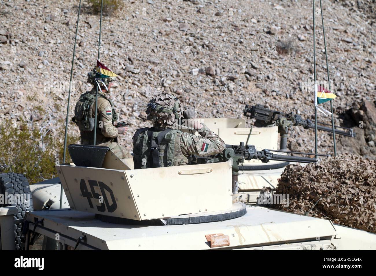 Soldati britannici assegnati alla Guardia reale Dragoon dallo Yorkshire Inghilterra, osservano l'area circostante durante la decisiva rotazione di azione 20-04 presso il National Training Center (NTC), Fort Irwin, California, 10 febbraio 2020. Foto Stock