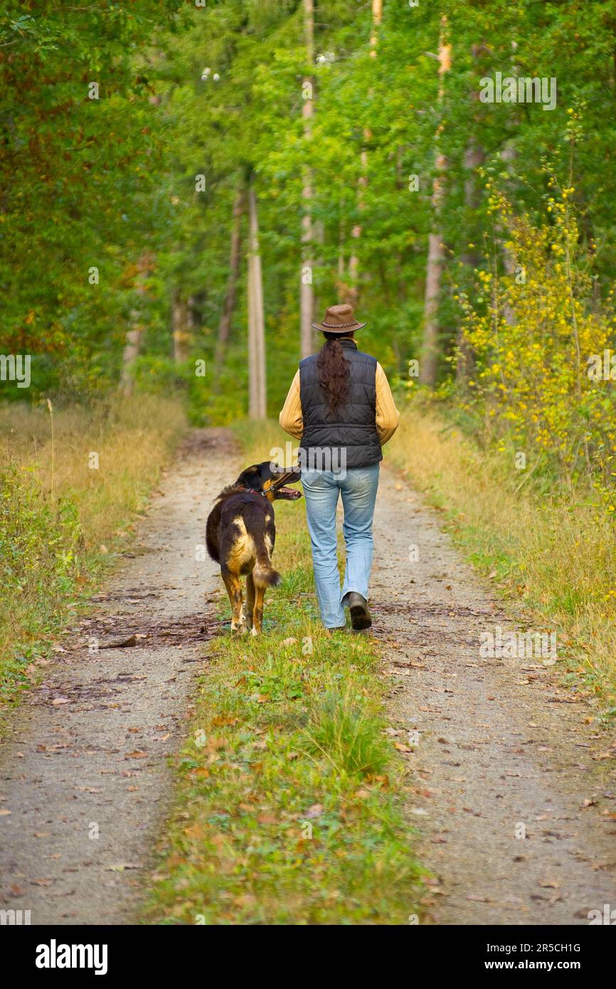 Donna e cane di razza mista, camminare, andare per una passeggiata, camminare a piedi Foto Stock