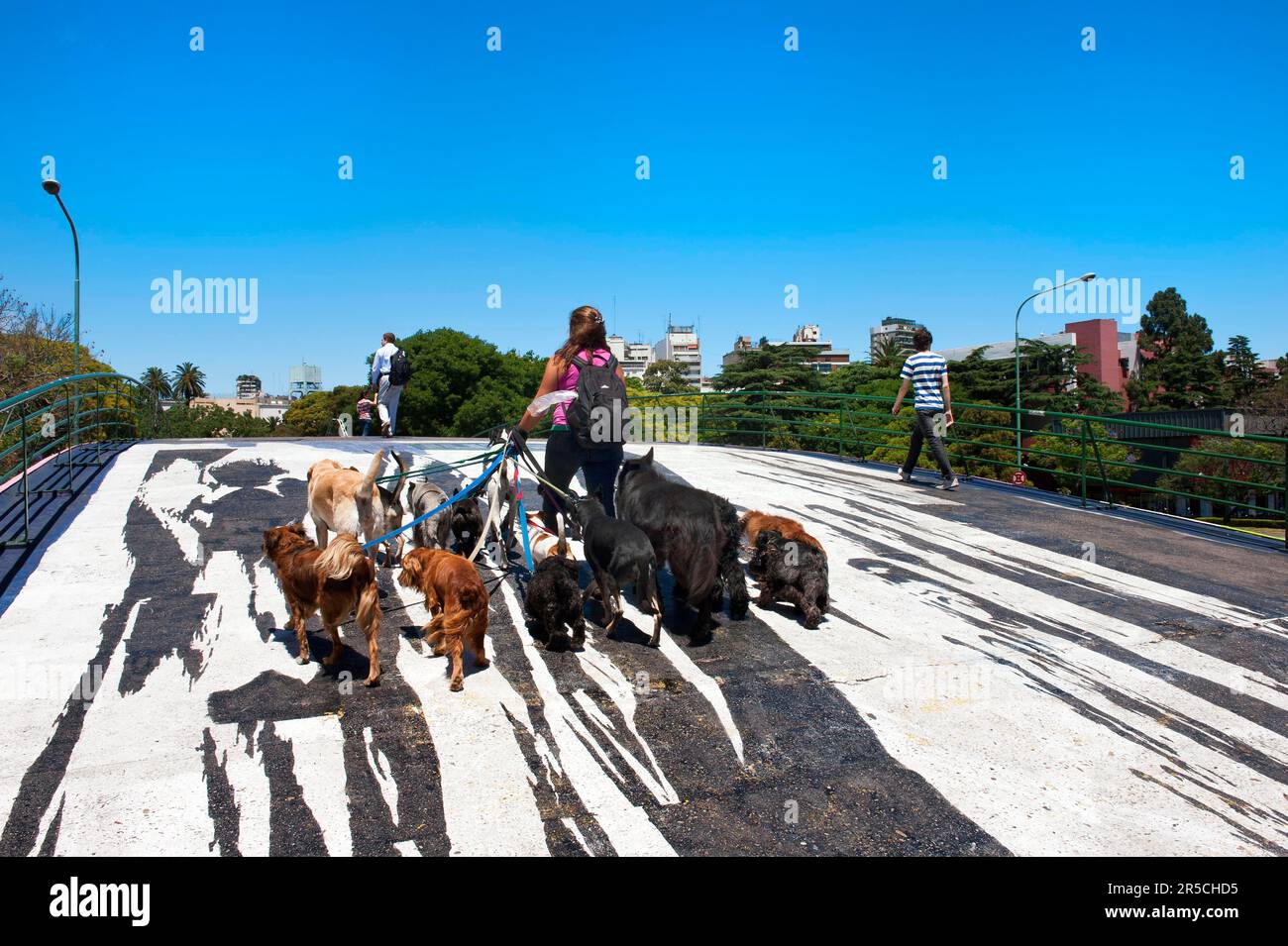 Dog sitter, Donna con molti cani, bel ponte n. 1, ponte pedonale su Libertador Avenue, Buenos Aires, Argentina, Dog sitter Foto Stock