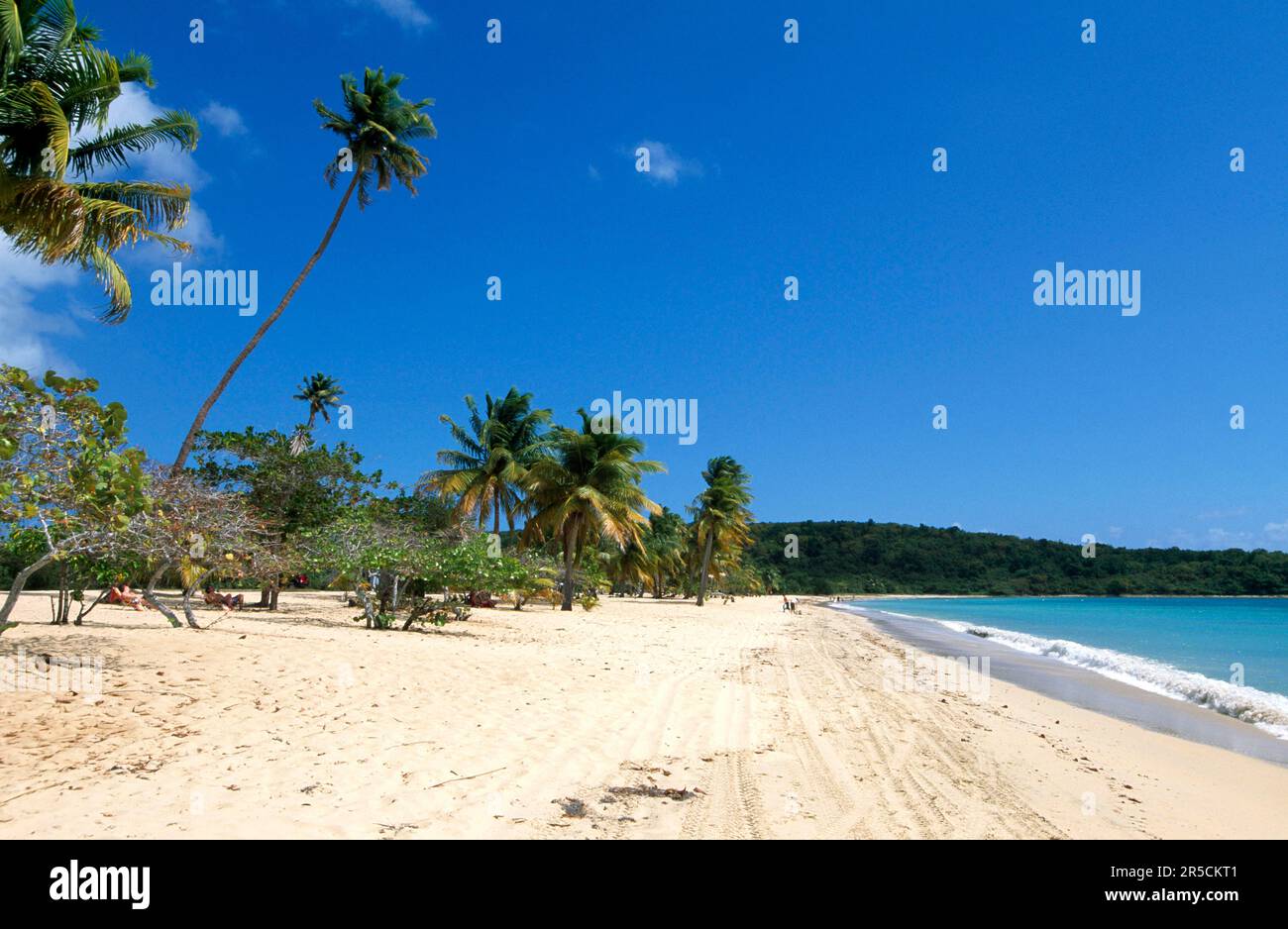 Sun Bay Beach sull'isola di Vieques, Porto Rico, Caraibi Foto Stock