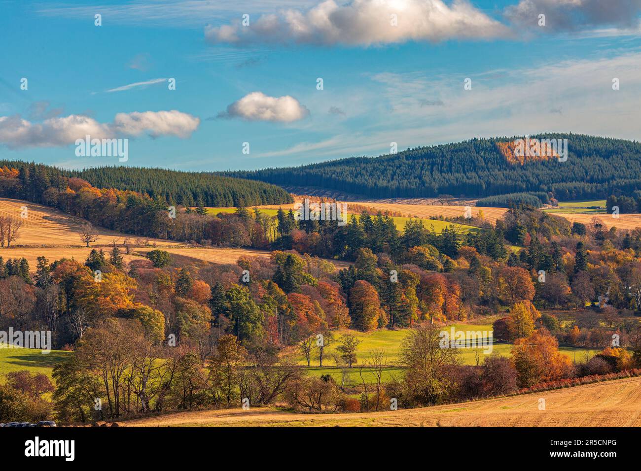 Terreno agricolo nel cuore di Speyside, nel nord-est della Scozia, vicino a Dufftown. Foto Stock