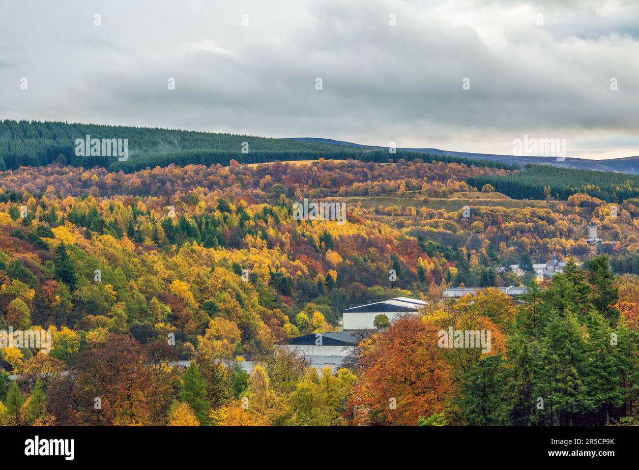 Una vista attraverso il paesaggio autunnale ai magazzini legati al whisky. Speyside, Scozia. Foto Stock