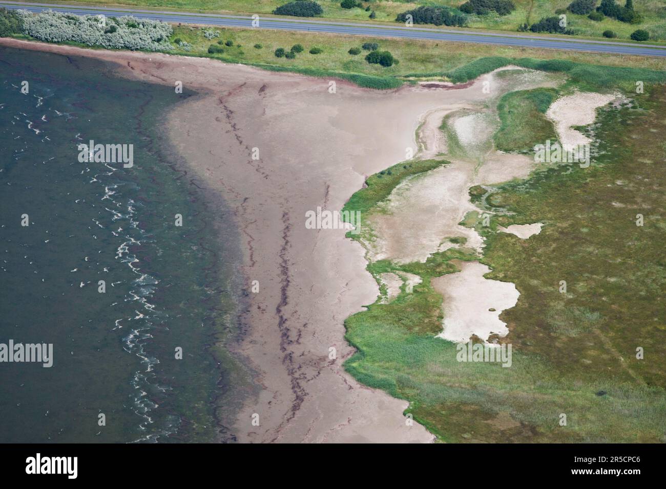 Speicherkoog, Meldorfer Bucht, Dithmarschen, Schleswig-Holstein, Germania Foto Stock