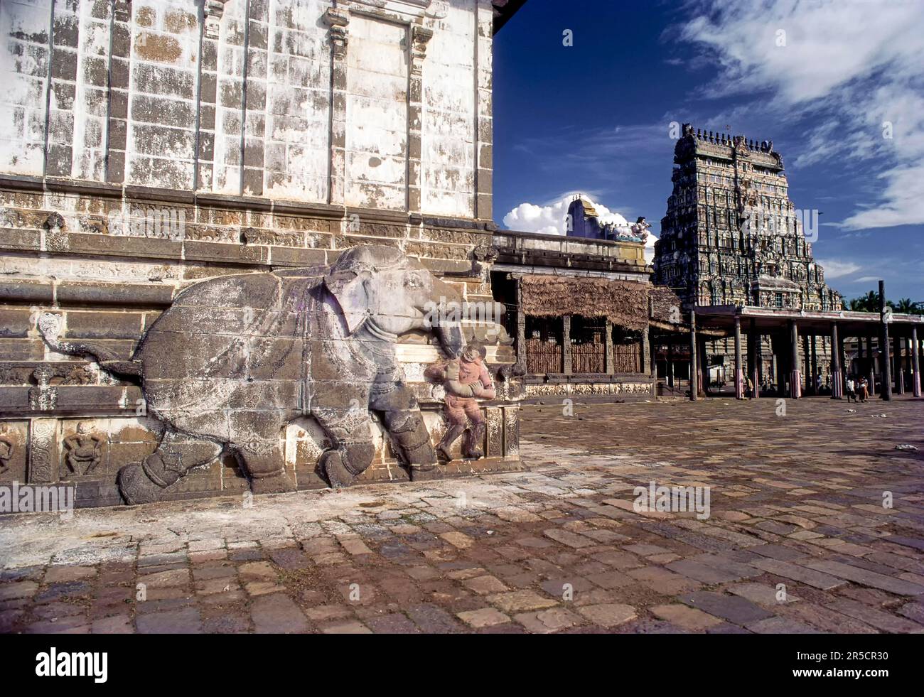 Un bassorilievo di elefante sulla parete esterna della sala delle mille colonne e torre orientale del Rajagopuram nel tempio Thillai Nataraja a Chidambaram, Tamil Foto Stock