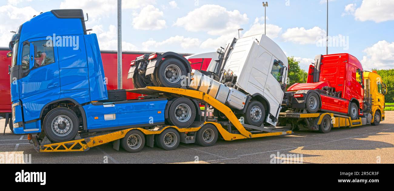 Carrello porta camion che trasporta tre nuovissimi camion di colore rosso, blu e bianco, immagine panoramica Foto Stock
