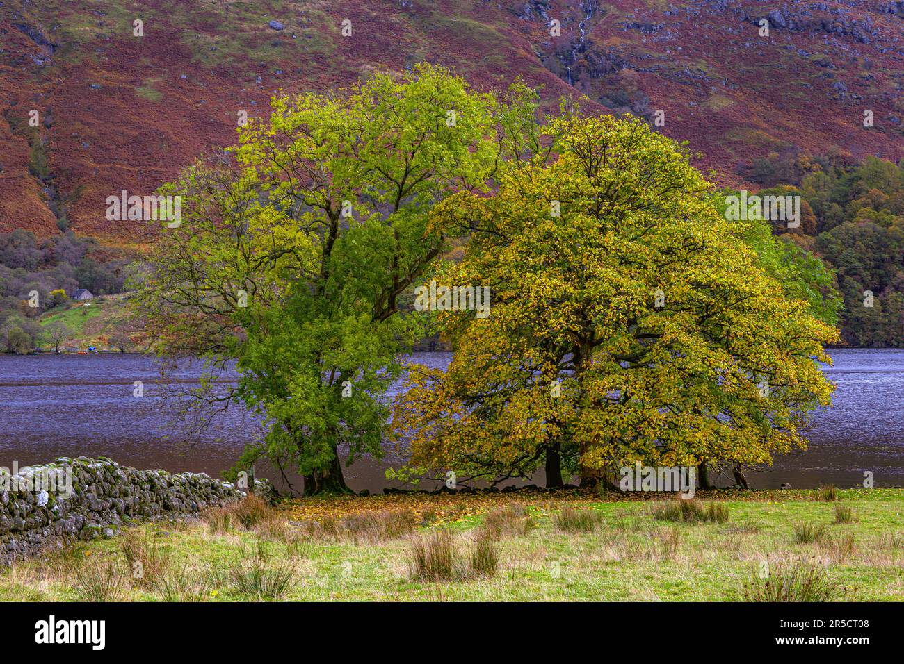 Vista autunnale, Loch Lomond, Scozia, Regno Unito Foto Stock