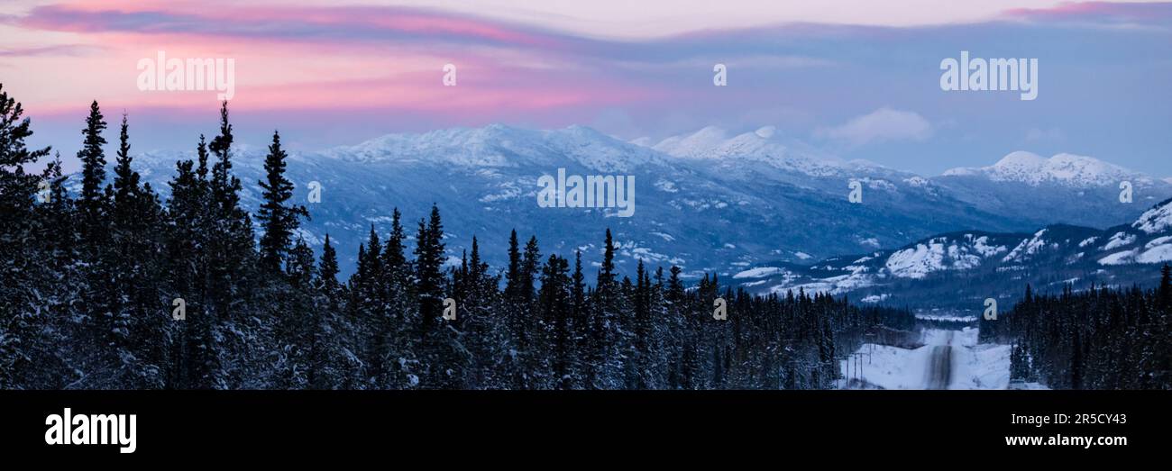 Vista panoramica del territorio dello Yukon, Canada settentrionale, all'alba invernale sulle montagne innevate, i boschi, la foresta e la natura selvaggia con blu rosa Foto Stock