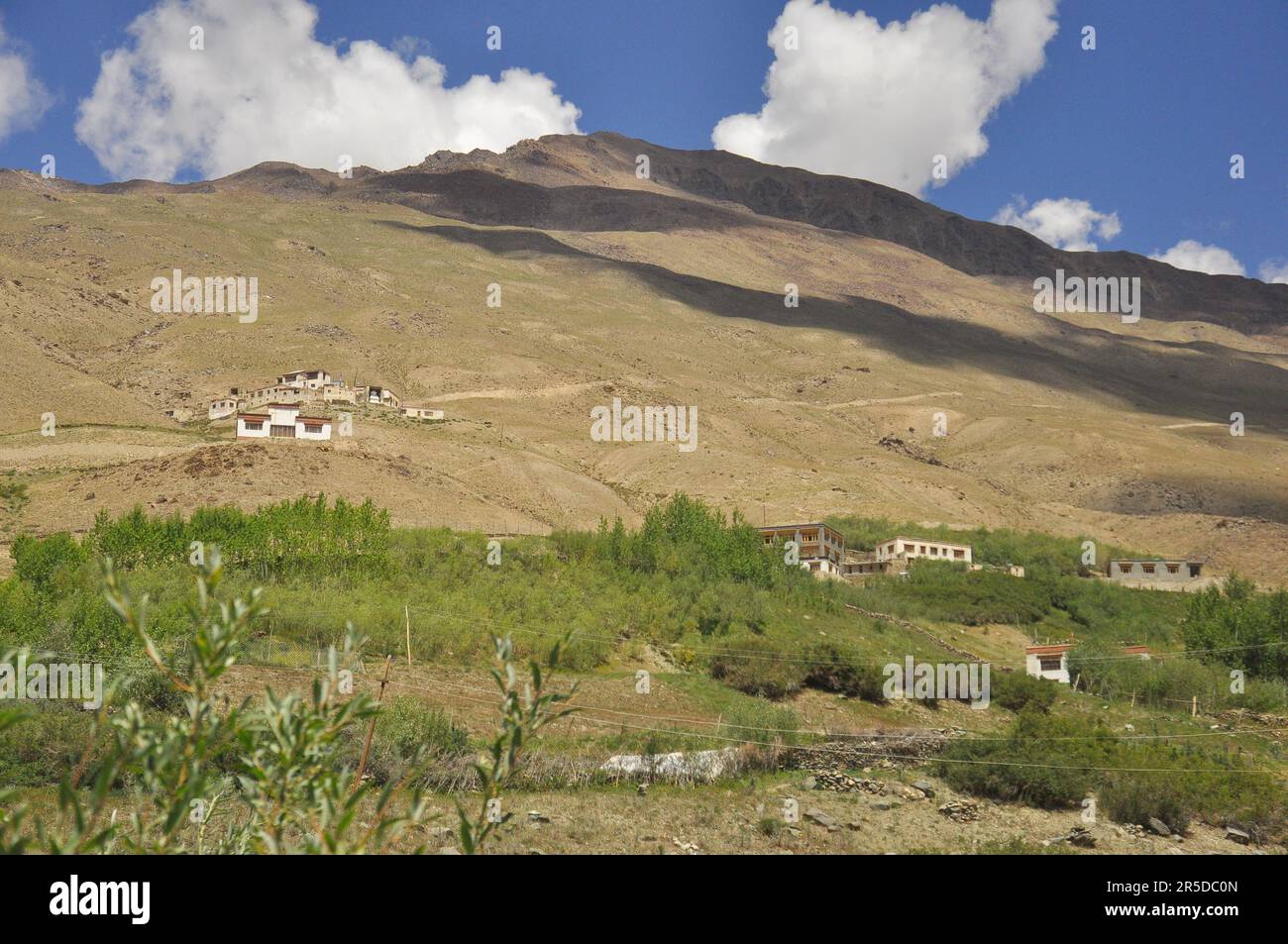 Splendida vista di un villaggio verde sulla montagna secca di Padum, Zanskar Valley, Ladakh, INDIA. Foto Stock