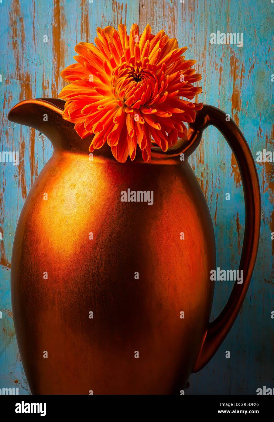 Caraffa di rame e Orange Dahlia Foto Stock