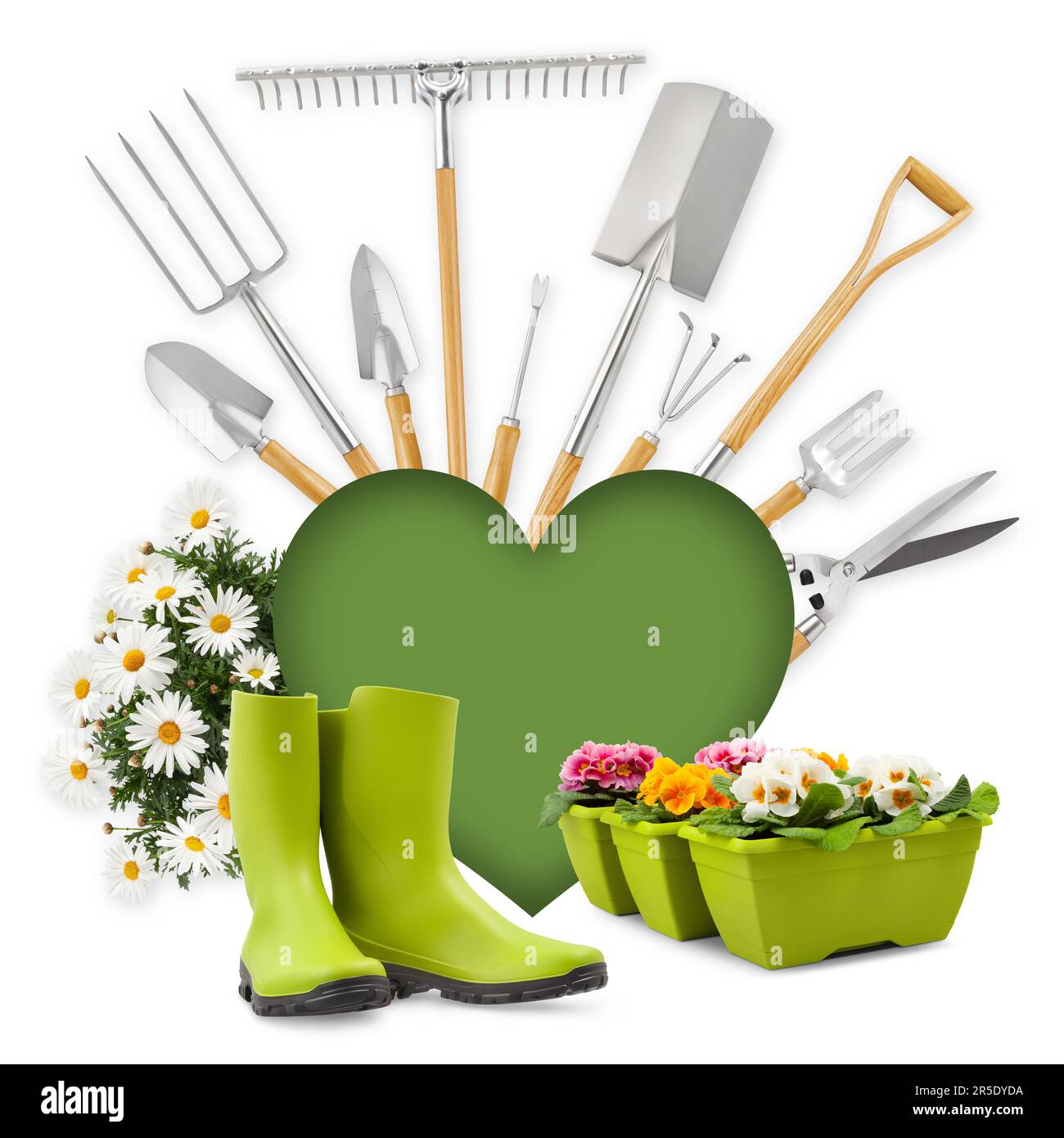 Attrezzatura per il giardinaggio e forma del cuore verde, stivali di gomma e fiori margherite isolati su sfondo bianco. Banner per acquisti online, e-commerce, Foto Stock
